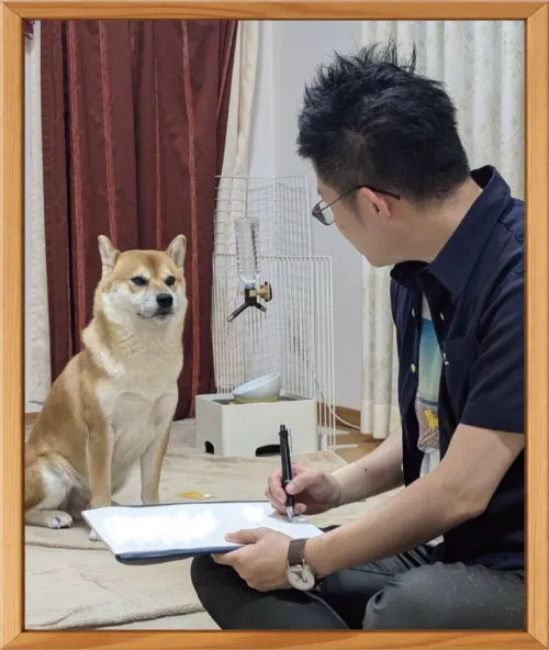 選ばれる理由