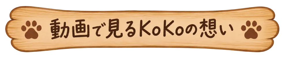 動画で見るKoKoの想い