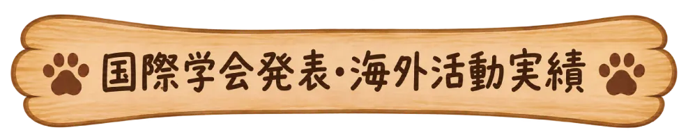 国際学会発表・海外活動実績