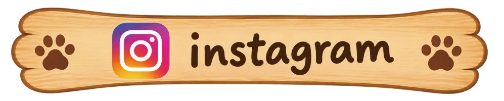 Instagram インスタグラム