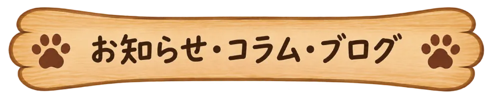 お知らせ・コラム・ブログ