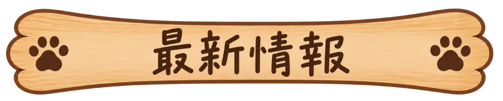 お知らせ・コラム・ブログ
