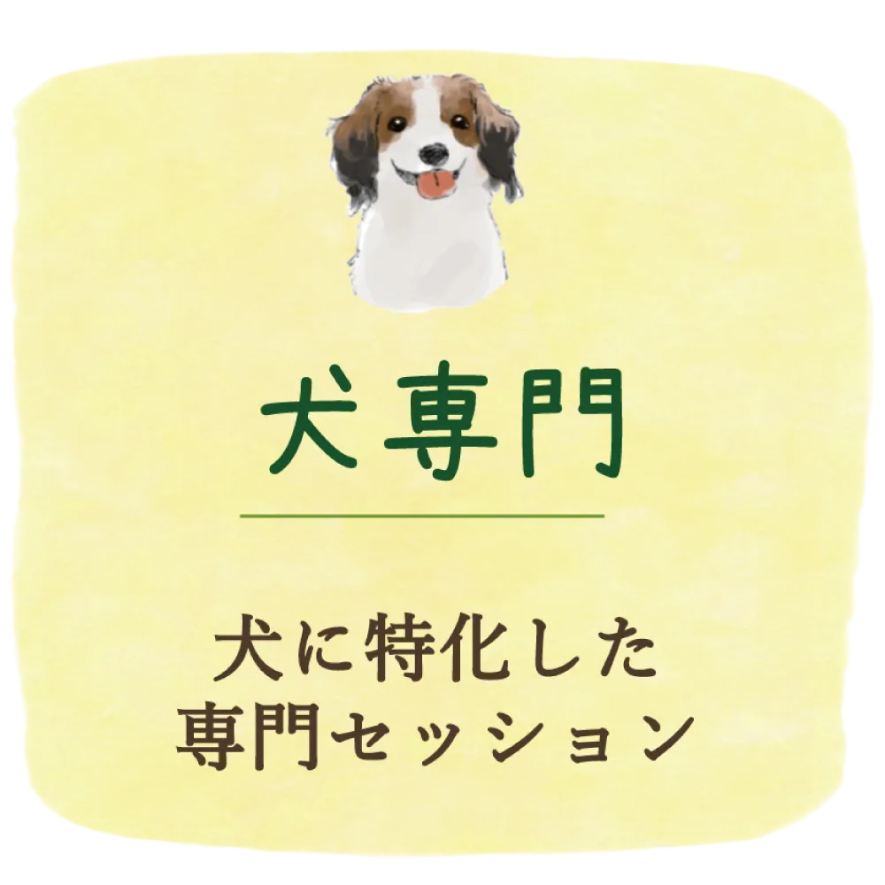 犬専門